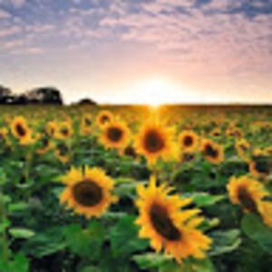 Meet your Posher, Kyia